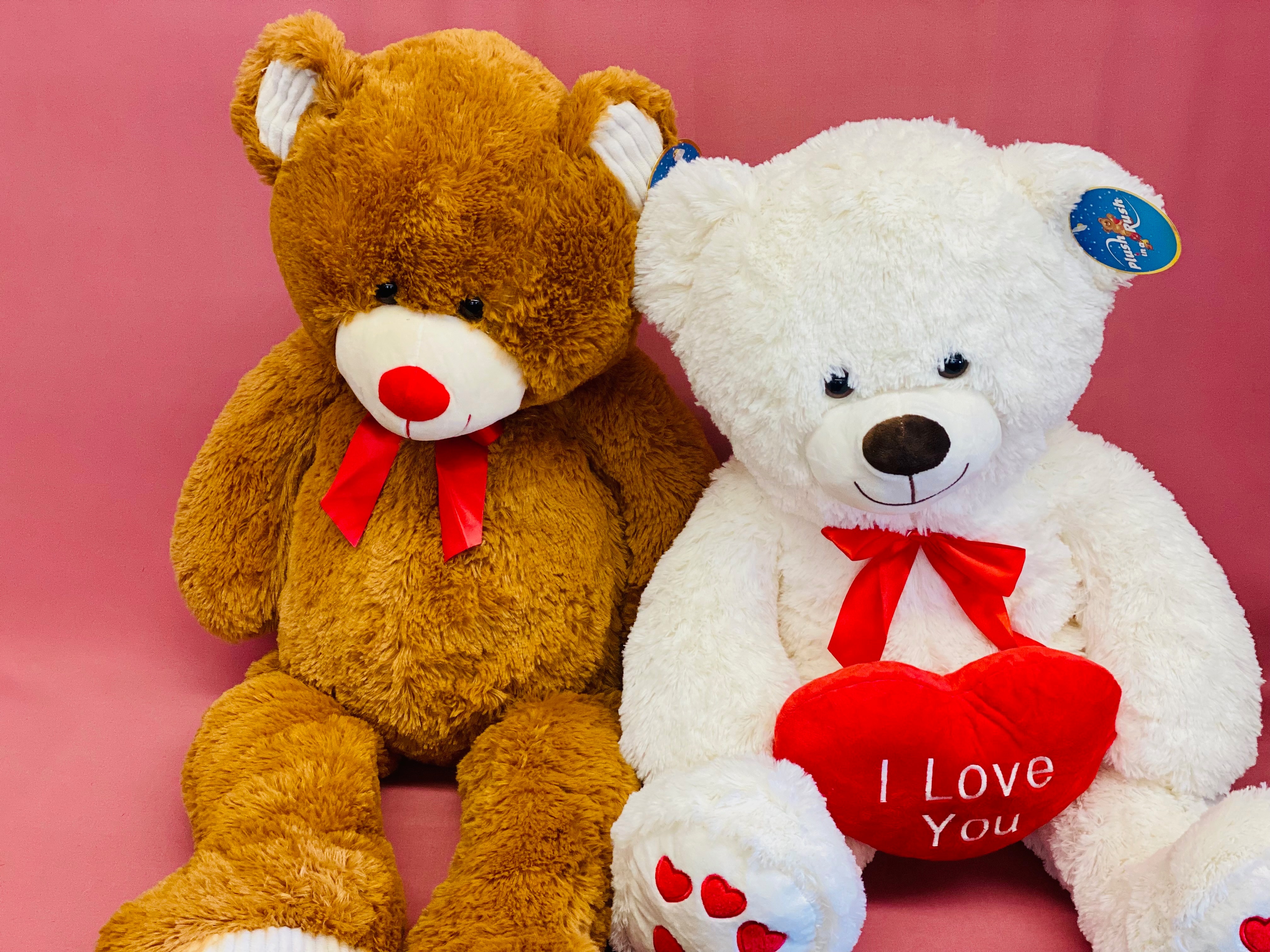 Large Valentines Bear